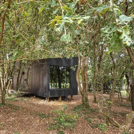 A Leira 116 De Diseno * サリア