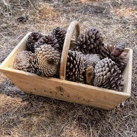 Kemp A Leira 116 De Diseno