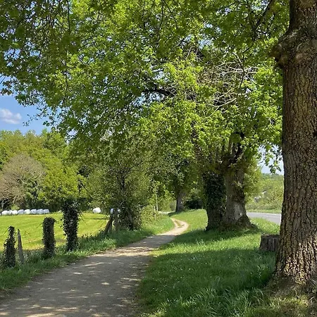 Kemp A Leira 116 De Diseno