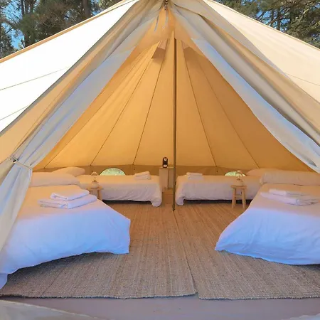 A Leira 116 De Diseno Kemp *