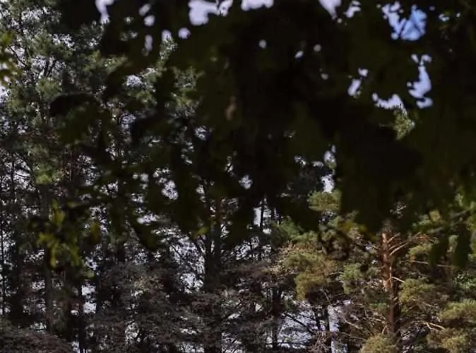 A Leira 116 De Diseno