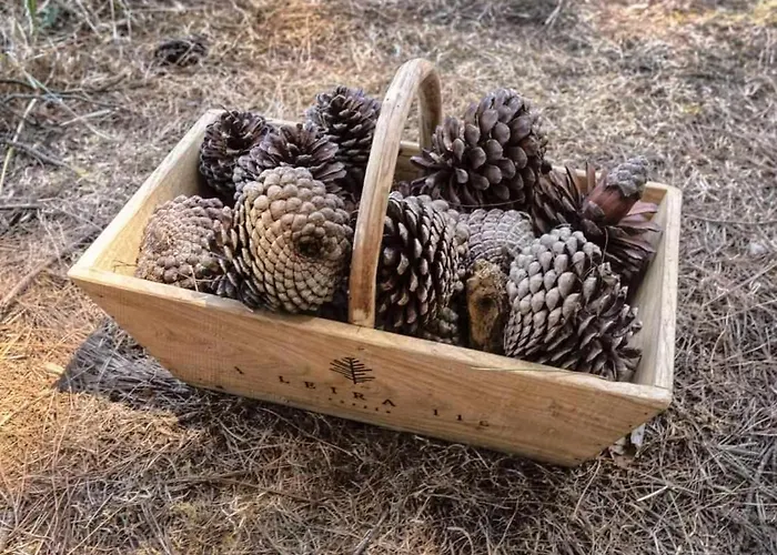 Кемпинг A Leira 116 De Diseno