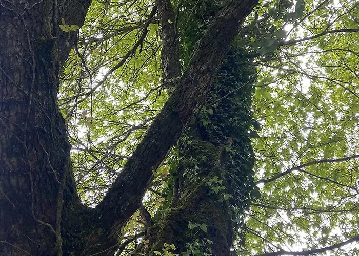 A Leira 116 De Diseno