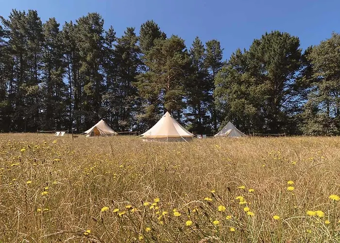 Campeggio A Leira 116 De Diseno Sarria